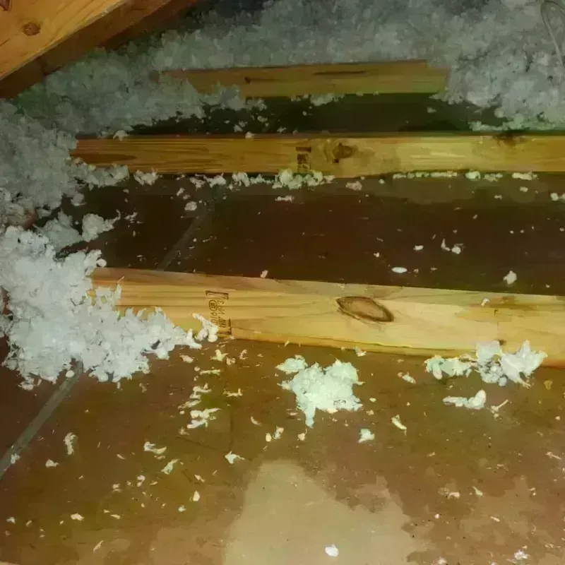 Attic Water Damage in Minster, OH