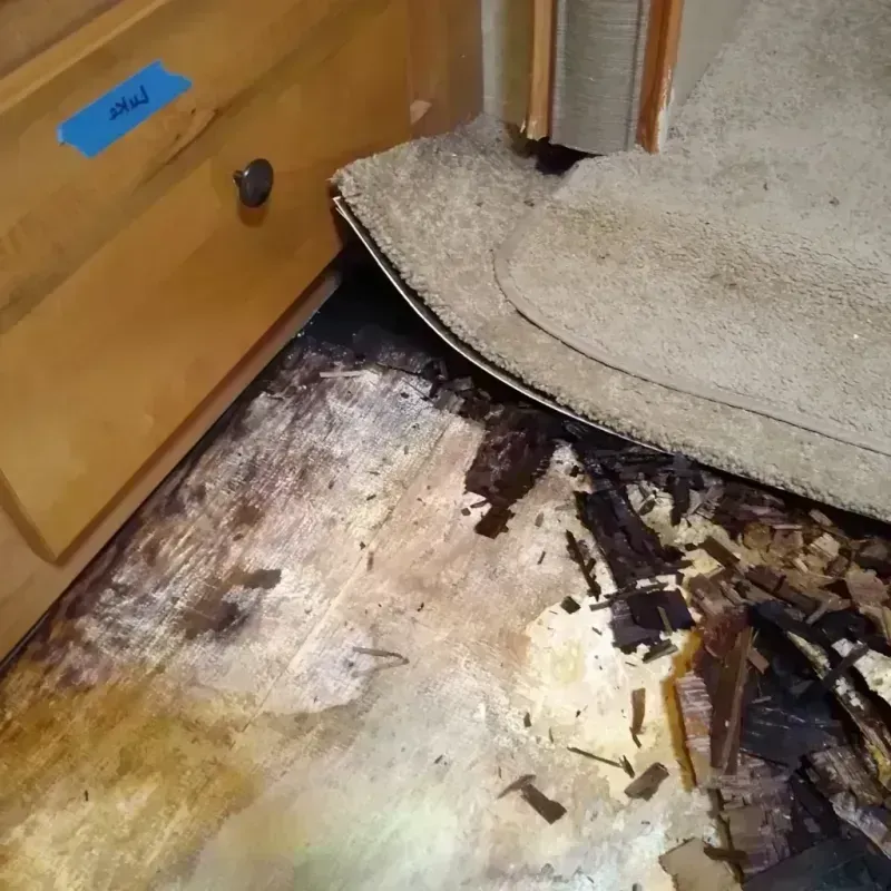 Wood Floor Water Damage in Minster, OH